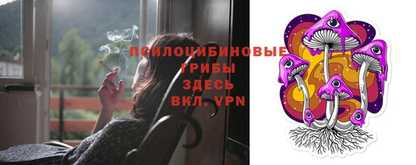 шишки Баксан