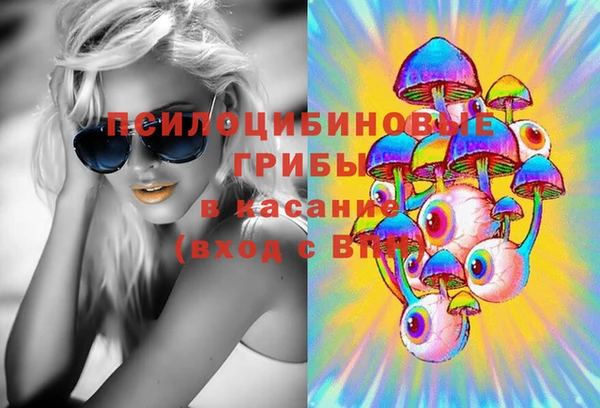 шишки Баксан