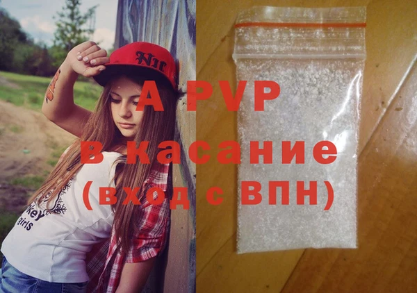 шишки Баксан