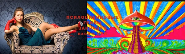 шишки Баксан