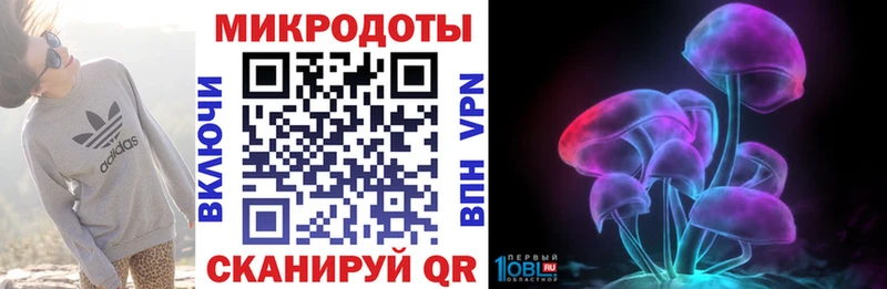 Псилоцибиновые грибы Psilocybine cubensis  что такое   Гудермес 