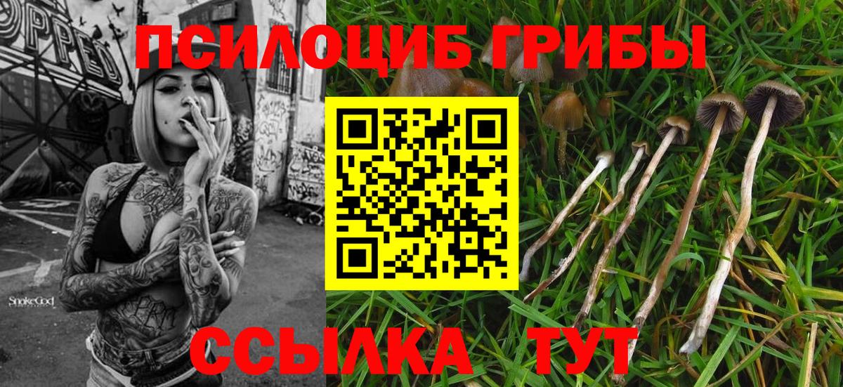 Гудермес  Псилоцибиновые грибы мухоморы  Вход с VPN 