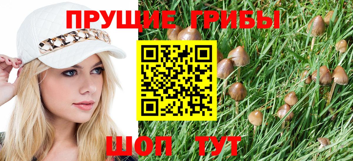 Галлюциногенные грибы MAGIC MUSHROOMS Гудермес