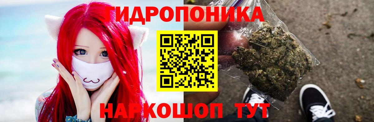 Шишки марихуана OG Kush Гудермес